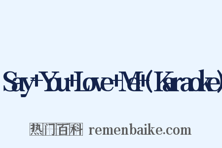Say+You+Love+Me+(Karaoke)是什么意思的图片